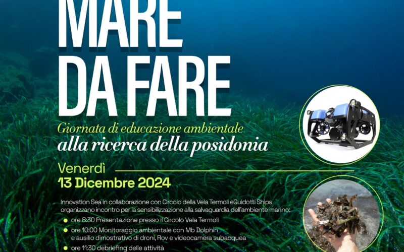 C’E’ UN MARE DA FARE.
