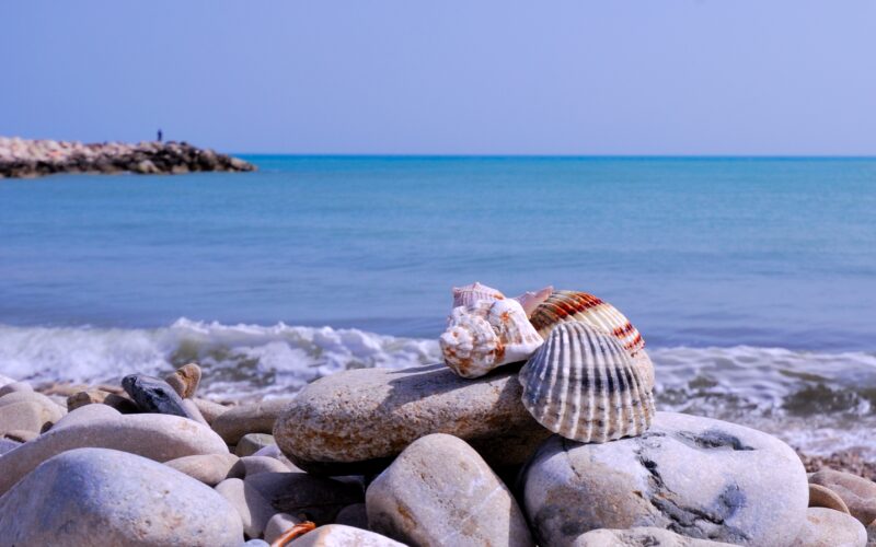 Report monitoraggio 2024: Qualità delle Acque di balneazione della Regione Molise