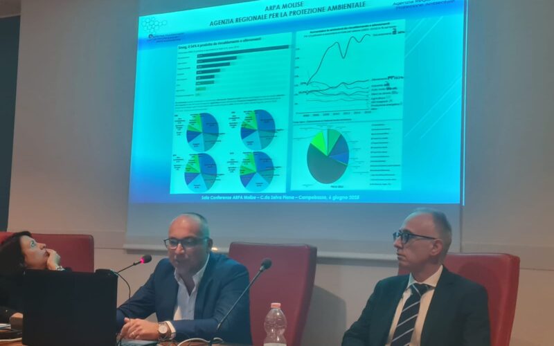 SOSTENIBILITA’ AMBIENTALE DEL SETTORE ZOOTECNICO